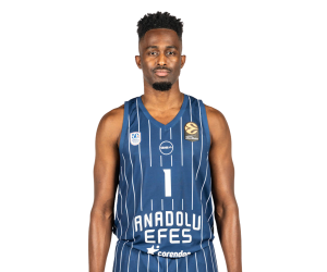 Rodrigue Beaubois basketball player photo 2