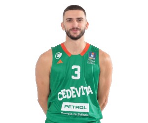 Rok Radovic basketball player photo 4