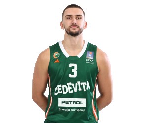 Rok Radovic basketball player photo 5