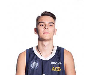 Roman Gorbunov basketball player photo 4