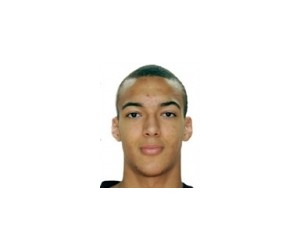 Rudy Gobert basketball player photo 1
