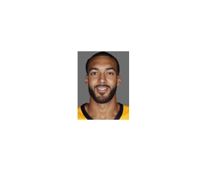 Rudy Gobert basketball player photo 2