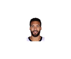 Rudy Gobert basketball player photo 4