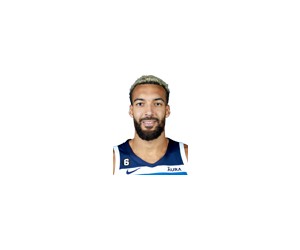 Rudy Gobert basketball player photo 5