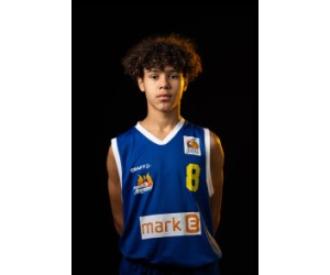 Samuel Chinedu Sohnchen basketball player