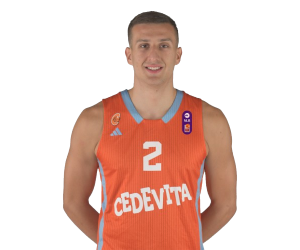 Sandro Rasic basketball player photo 3