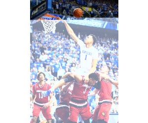 Skal Labissiere basketball player photo 2