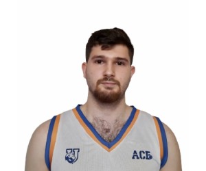Stanislav Znamerovskiy basketball player photo 3