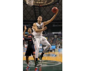 Stefan Jankovic basketball player photo 2