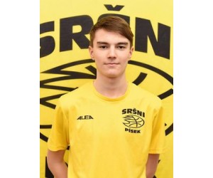 Stepan Feit basketball player