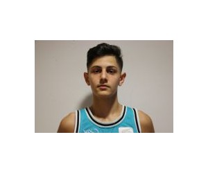 Stevan Veljkovic basketball player - PG