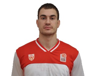 Strahinja Gavrilovic basketball player photo 2