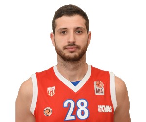 Svetozar Stamenkovic basketball player - PF
