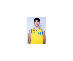 Szabolcs Szatmari basketball player
