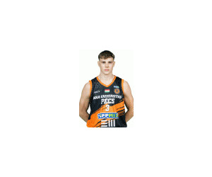 Tamas Ratgeber basketball player - G