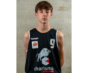 Tarik Ari basketball player