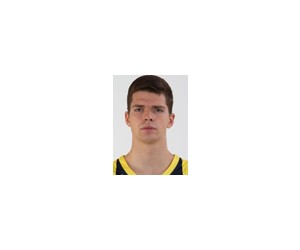 Tarik Biberovic basketball player photo 2