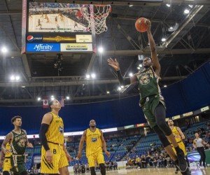 Tavrion Dawson basketball player photo 1