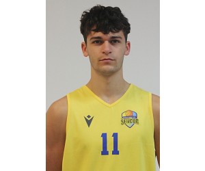 Tej Vizjak basketball player