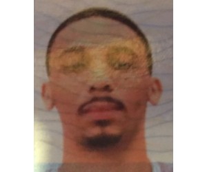 Terrelle Marquis Green basketball player - PG