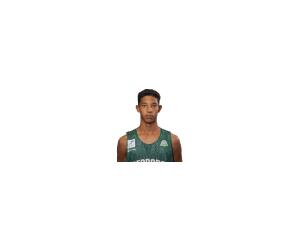 Thierry Ferreira basketball player