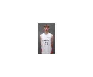 Tomass Veigulis basketball player - F