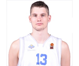Tomislav Ivisic basketball player photo 3