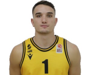 Toni Perkovic basketball player - PG
