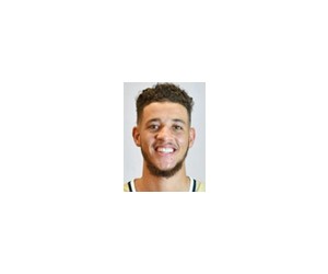 Travis Mcconico basketball player - SF/SG