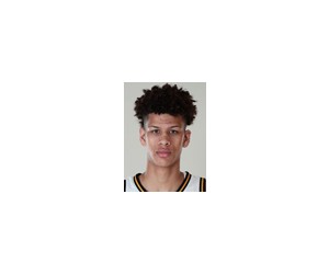 Trevon Brazile basketball player - F