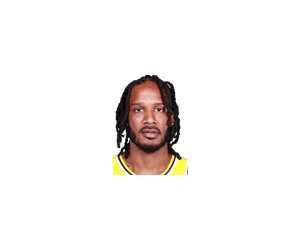 Trevor Ariza basketball player - PF