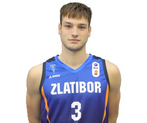 Uros Paunovic basketball player photo 2