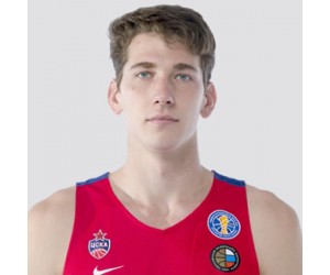 Vasilii Lakhin basketball player - F/C