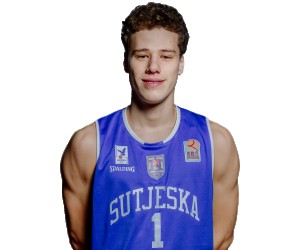 Vasilije Milovic basketball player photo 2