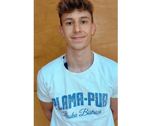 Vid Vicic basketball player