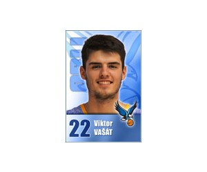 Viktor Vasat basketball player photo 1