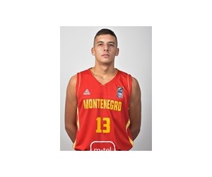 Viktor Vujisic basketball player photo 1