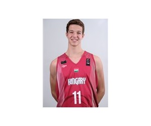 Viktor Werner basketball player - PF