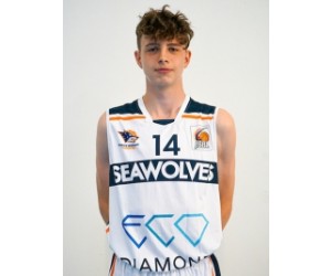 Vincent Hammerbeck basketball player