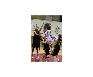 Vit Petrak basketball player photo 1