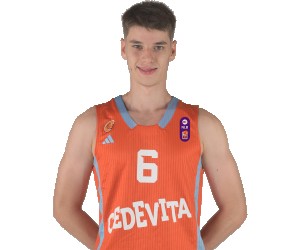 Vito Kucic basketball player photo 3