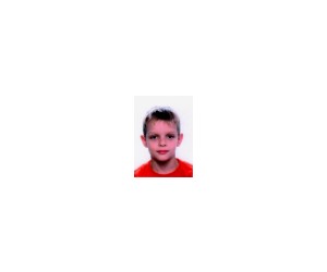 Vito Mihovilovic basketball player - F