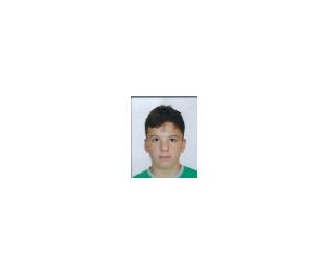 Vito Pilepic basketball player