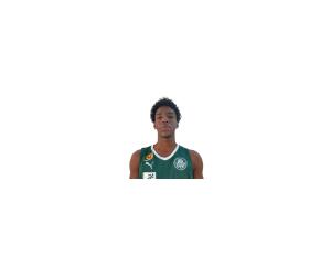 Vitor Hugo De Souza basketball player