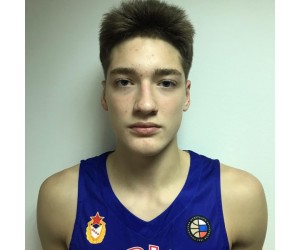 Vladimir Naumov basketball player photo 2
