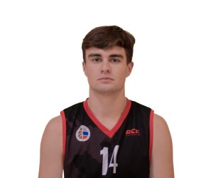 Vladislav Likhachyov basketball player photo 1