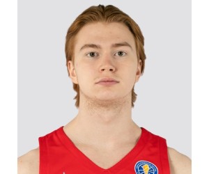Vladislav Mikheev basketball player photo 4