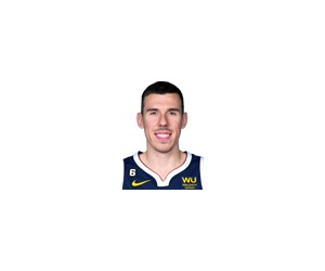 Vlatko Cancar basketball player photo 6