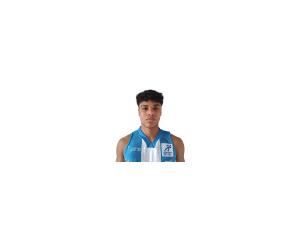 Walber Henrique basketball player