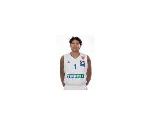 Ryan Watkins basketball player - PF/SF